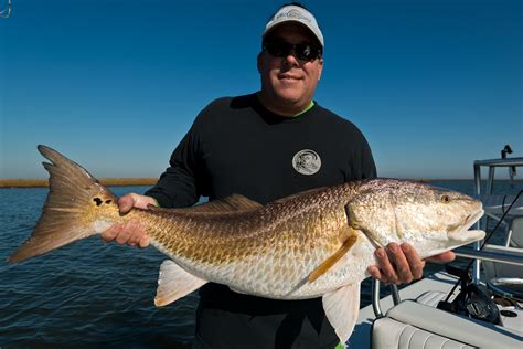 new orleans fly shop|fly fishing in southern louisiana.